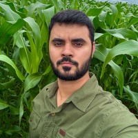Bruno Mateus Email