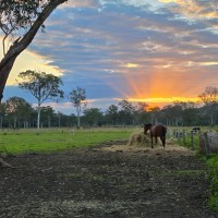 My Own Farm Employee Nigel Megaw's profile photo