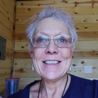 Link-Systems International, Inc. Employee Debbie Vansickle-Wilson's profile photo