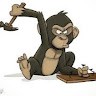 Monkey Hammer's profile photo