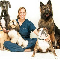 Parkview Animal Hospital Employee Nannette Parra's profile photo