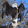 Mark Ferro Email