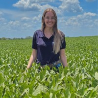 IDGeo - Intelig Employee Karina Silva's profile photo