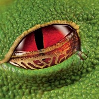 Createx Employee Diego Fernando Borrero's profile photo