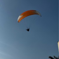 Soflex Employee Javier G's profile photo