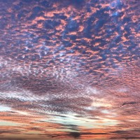 Chua J's profile photo