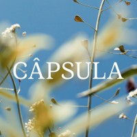 i29 Employee Câpsula .'s profile photo