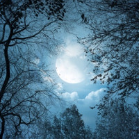 Hanover Park High School Employee Kim Lyric's profile photo