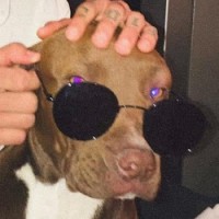 AERI Employee Alan Marquez's profile photo