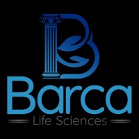 Life Llc