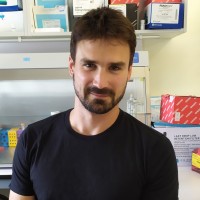 Arvor Employee Piotr Konieczny's profile photo