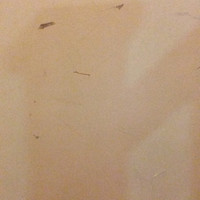 Shadreck Tembo's profile photo