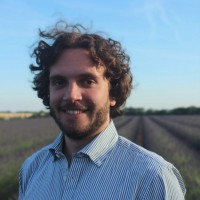 Peoplelogic Employee Rui Cerqueira's profile photo