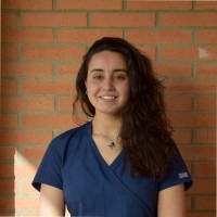 IVC Evidensia Ireland Employee María Pérez Fernández's profile photo