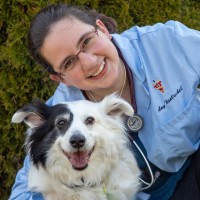 Racine Veterinary Hospital Employee Amy Hantschel's profile photo