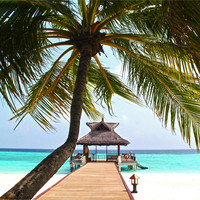 Keller Williams Miami Beach Employee Daniel Meredith's profile photo