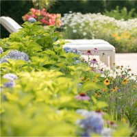 Wesley Stout Associates Employee Elisa Miret-Pollino's profile photo