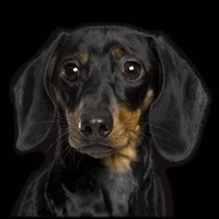 P&C Insurance Employee Donna Brunelle's profile photo