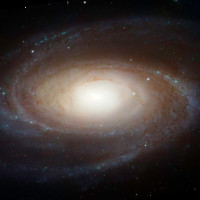 Sparx Engineering Employee Jack Cochran's profile photo