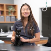 Pansy Suzuki Email & Phone Number