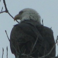 U.S. Department of Labor Employee Brian Crain's profile photo