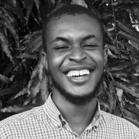 WITTY Employee Daniel Igwe's profile photo