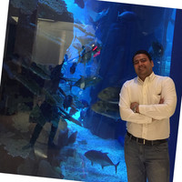 Babul Mody Email & Phone Number
