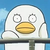 GloBird Energy Employee Bo Wang's profile photo