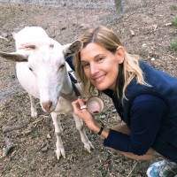 Liquid Wire Inc. Employee Cheryl Vandemore's profile photo