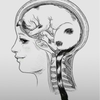 Cyber Temple Employee Irina Lee's profile photo