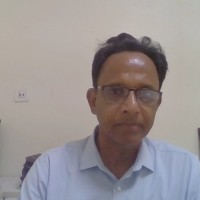 Skillveri Training Solutions Pvt Ltd Employee Roy Mathew's profile photo
