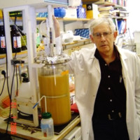 Protein Laboratories Rehovot (PLR) Ltd. Employee Arieh Gertler's profile photo
