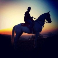 Muzaffer Tolun Email