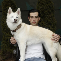 Pointer Health Employee Alan Millan's profile photo