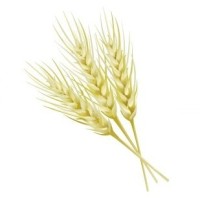 Prairie Capital Management Group, LLC Employee Rob Schneider's profile photo