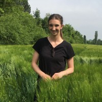 manto Employee Jelena Pejovic's profile photo