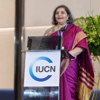 Centre for Media Studies (CMS) Employee Vasanti Rao's profile photo