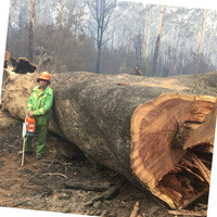 Federation Training Employee Kevin Nunn's profile photo