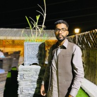 MaXsoft Technologies Employee Muhammad Aziz's profile photo