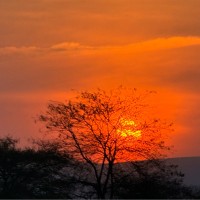 Anesthesia Associates Northwest Employee Shawn Deremer's profile photo