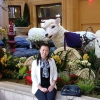Intertrans Express Inc Employee Lily Ciampi's profile photo