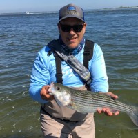 Cortland Biomedical Employee John Greco's profile photo