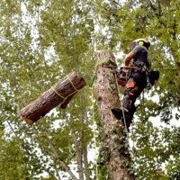 Sherrill, Inc Employee Brandon Nance's profile photo