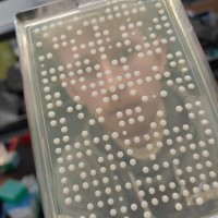 BioCurious Employee Darach Miller's profile photo