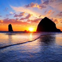 Amy Hirahara Email