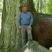 Royal Botanic Gardens, Kew Employee Tony Kirkham's profile photo