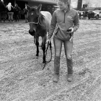 Equine Specialty Hospital Employee Diana Shale's profile photo