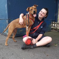 USPCA Employee Charlotte Hamer's profile photo
