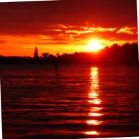 Derek Sheerin Email & Phone Number