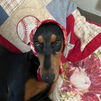 Cherry Valley Market Employee John Cachianes's profile photo